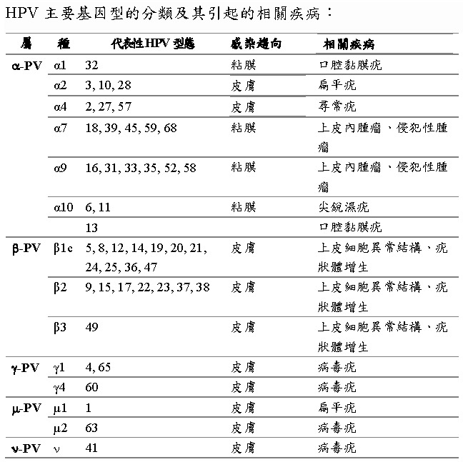 HPV Infection Classification Chart